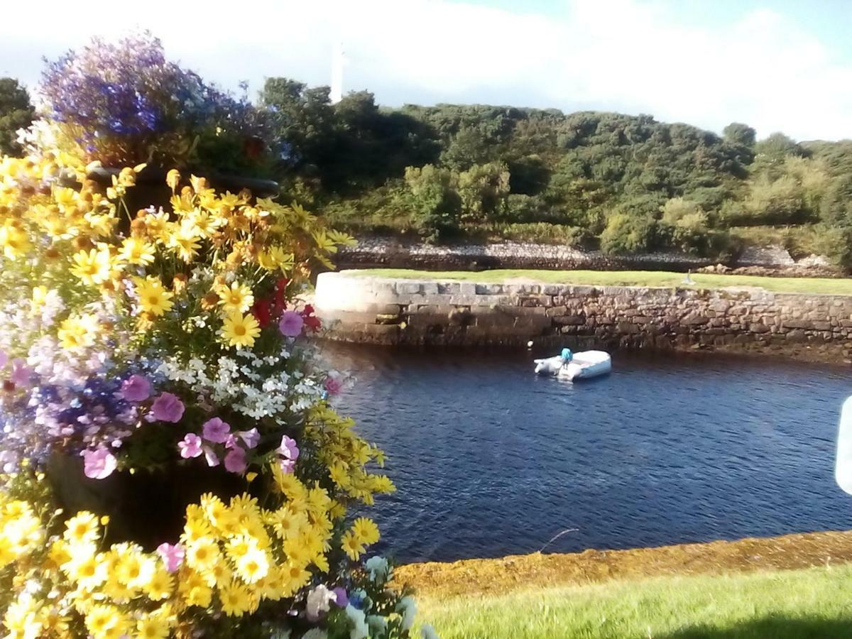 Bed and Breakfast Song Of The Sea, Selkie House Helmsdale Zewnętrze zdjęcie